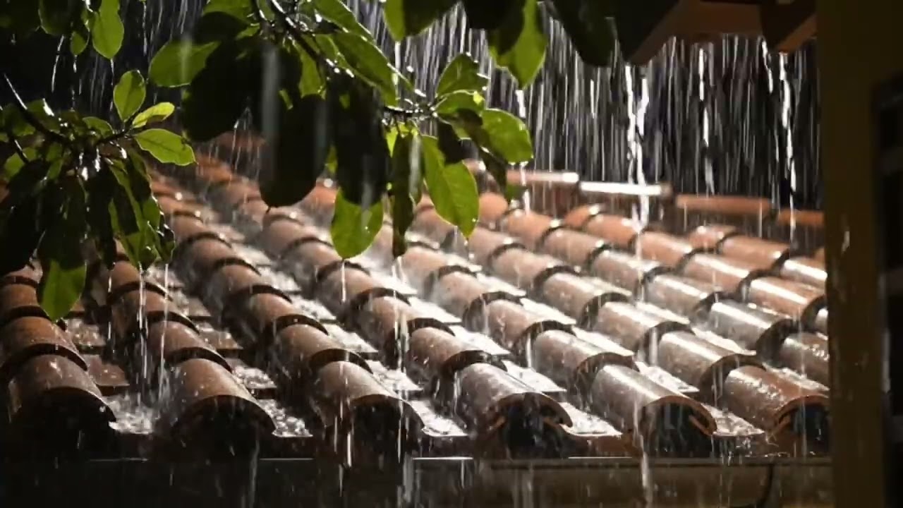 Rain in the Jungle for Deep Relaxation