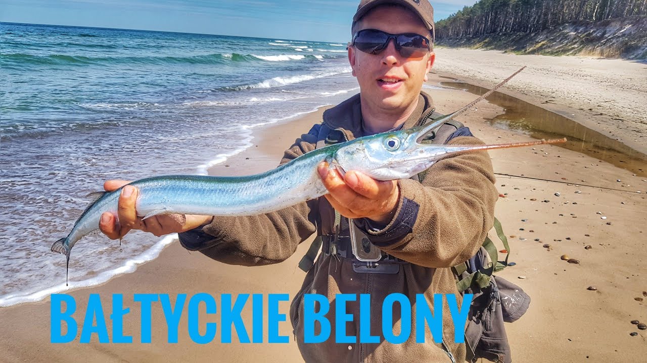 Bałtyckie belony z #fishingPRO