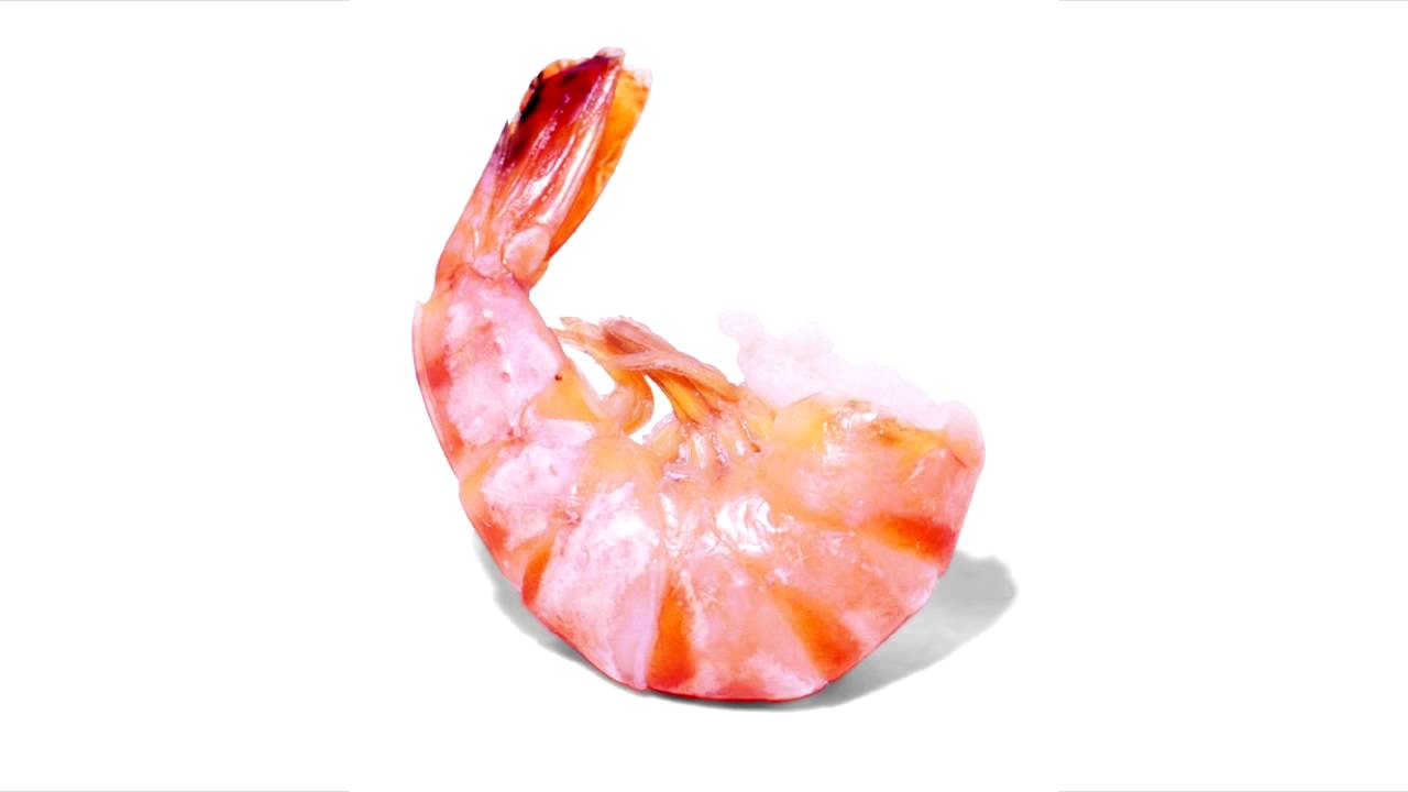 Fake Plastic Shrimp