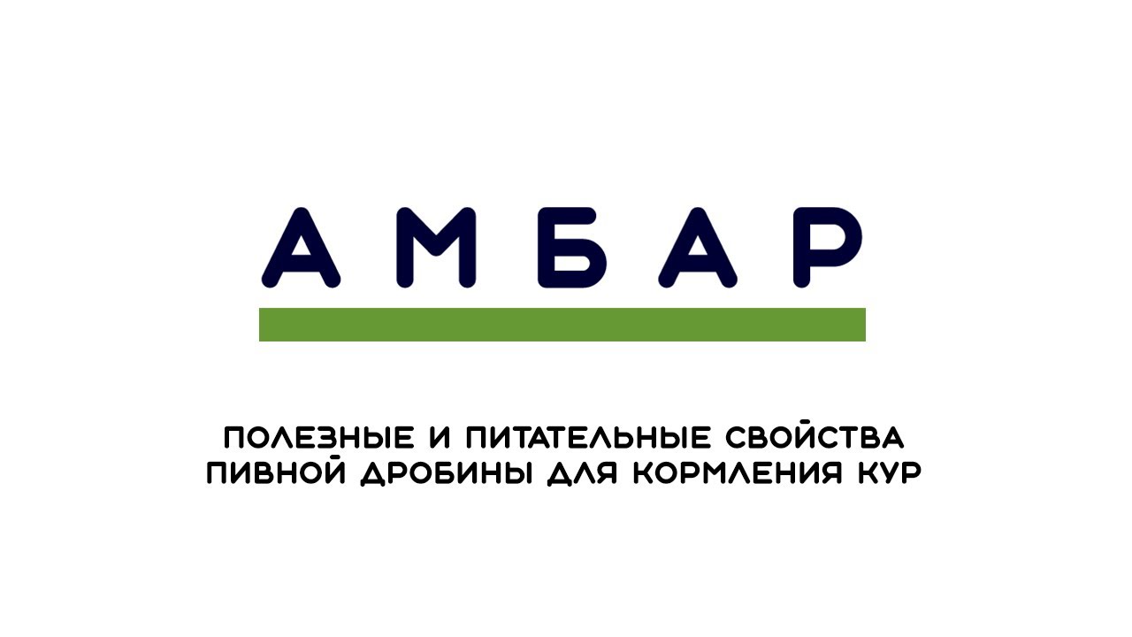 Кормление кур пивной дробиной