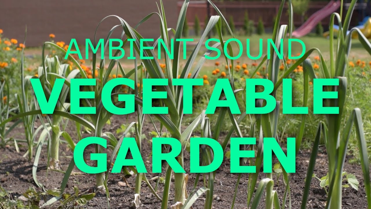 Ambient sounds Vegetable Garden 1 hour