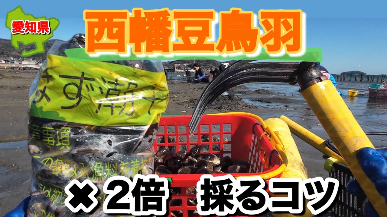 リミット解除。爆速でハマグリを掘る。