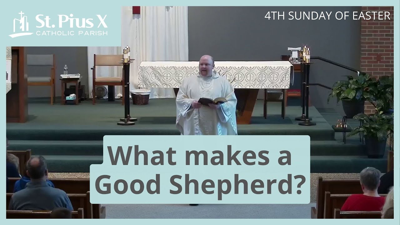 Three Qualities of a GOOD Shepherd | 4th Sunday of Easter ~ Catholic Homily