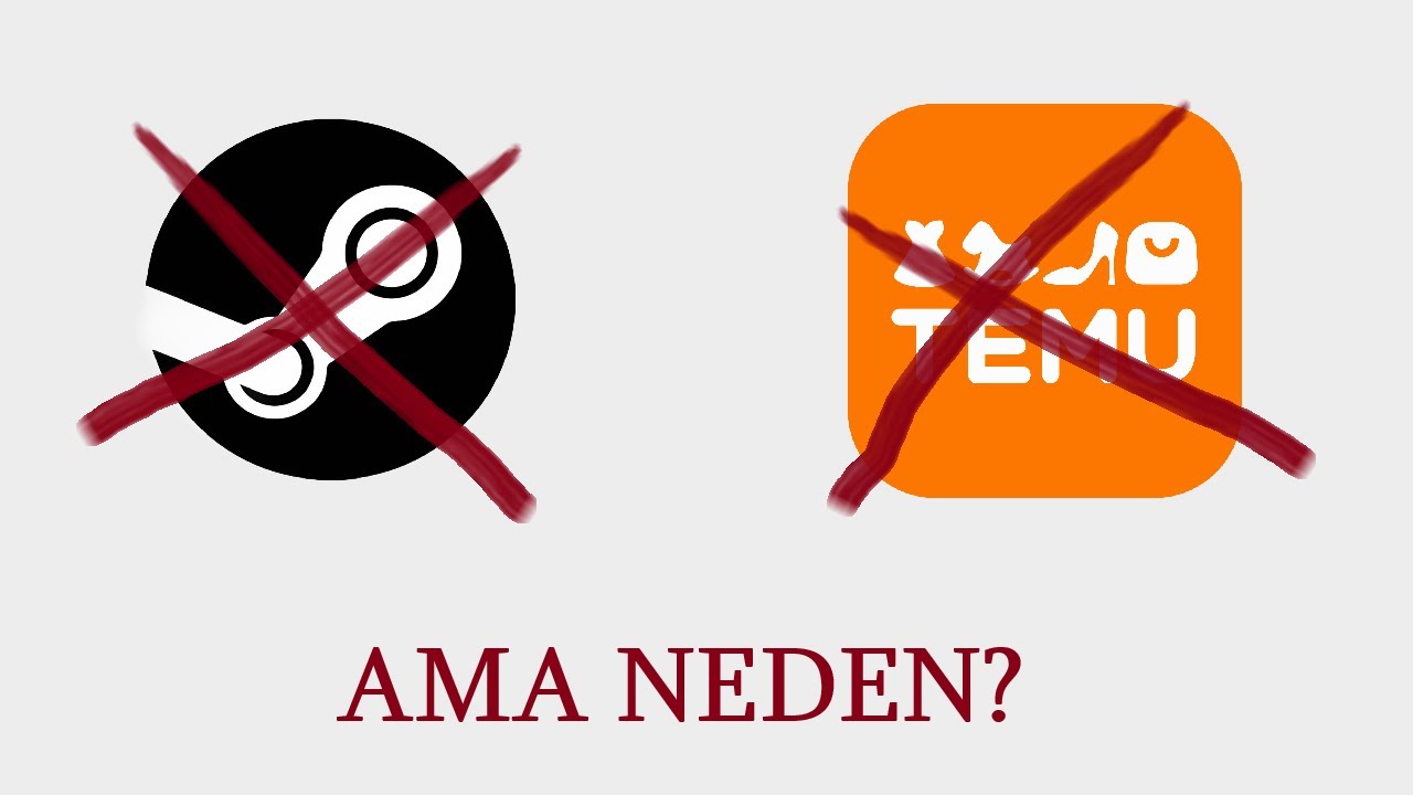 ÖNCE TEMU, ŞİMDİ STEAM: Devletler Neden E-Platformlara Denetim Getiriyor? #oyunumadokunma