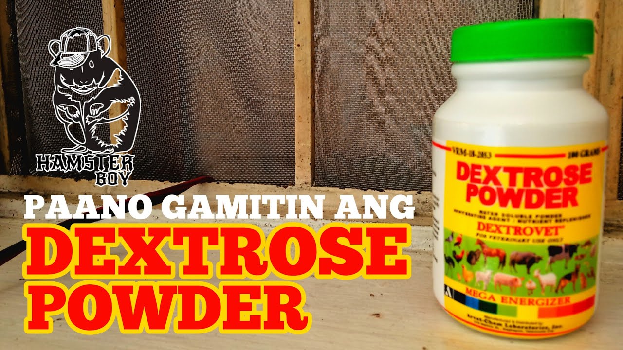 PAANO GAMITIN ANG DEXTROSE POWDER SA HAMSTER?
