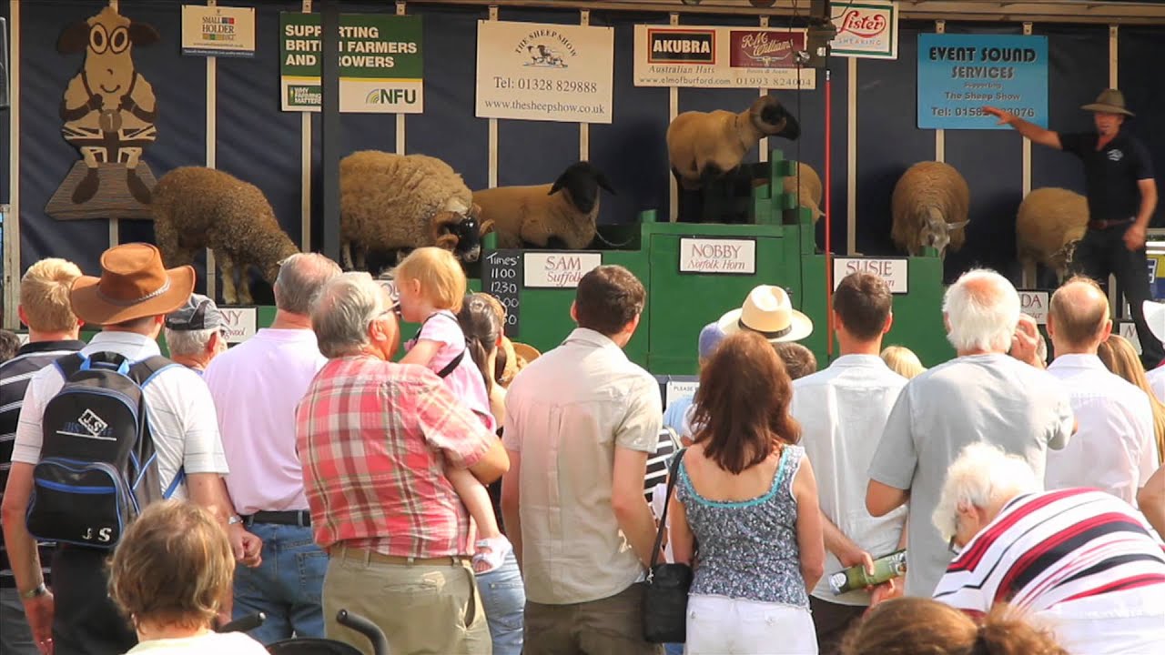 BAKEWELL SHOW  2011