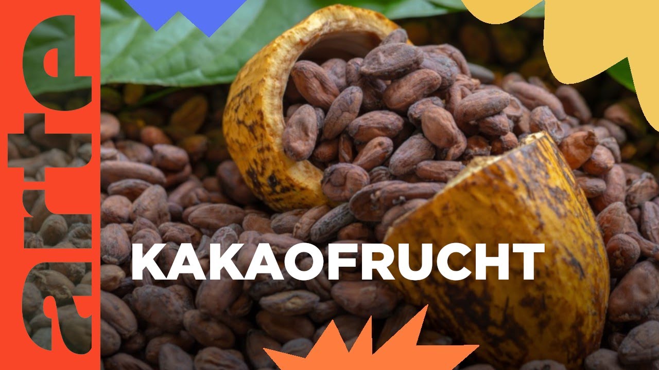 Wie aus Kakao Schokolade wird (2/5) | ARTE Junior