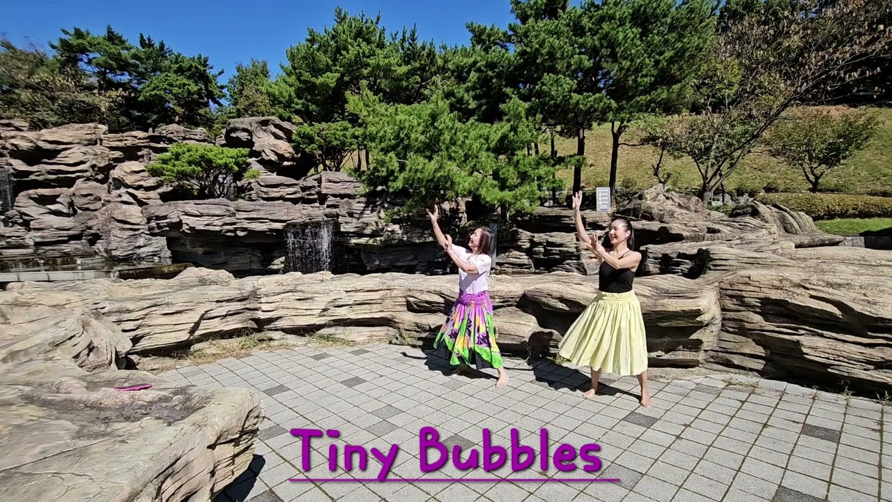 Tiny bubbles #hawaiiandance #hawaiianculture #dance #huladancer #hulachallenge #타이니버블훌라 #유비파크