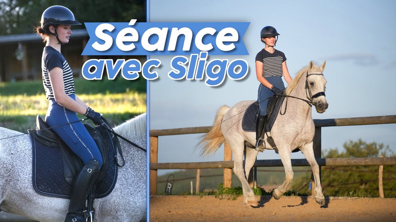 ON ESSAYE DE CHANGER DE PIED.... et on vous fait un tuto 🤓🐴 (cours de dressage commenté) #dressage