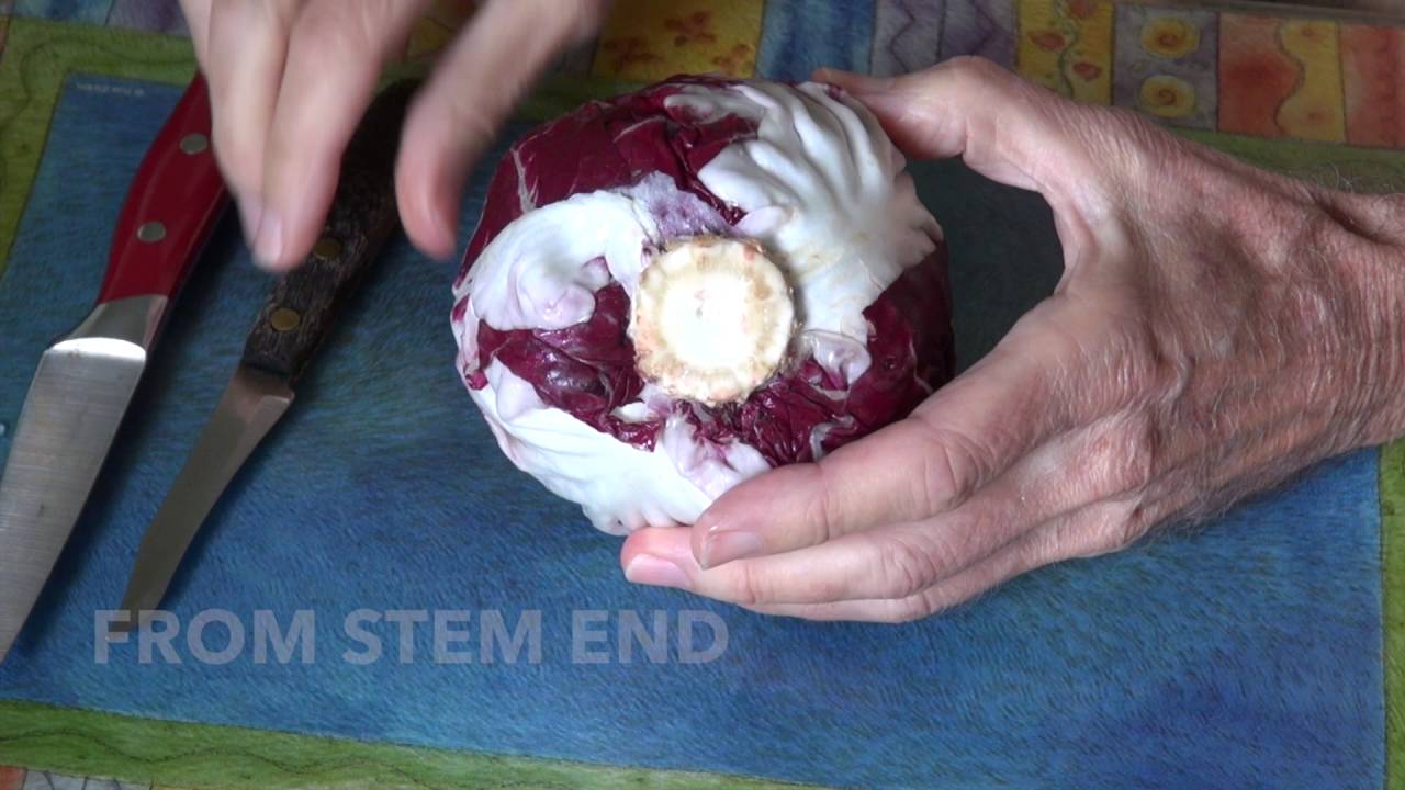 The Garden: Radicchio Salad Green - Easy Low Cost Way To Grow