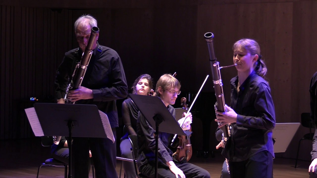 Concerto pour 2 bassons et orchestre en Fa majeur - Jean Baptiste Vanhal