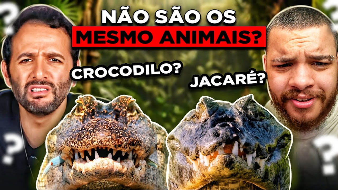 10 ANIMAIS QUE VOCÊ CONFUNDE SEM SABER