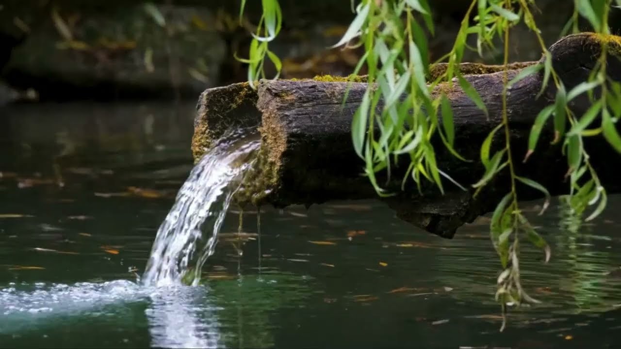 Como tratar el agua de un nacimiento para que no se enturbie