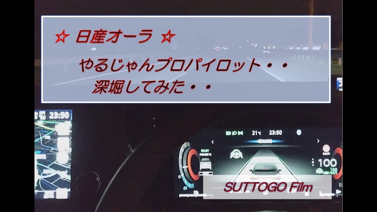 日産オーラ　やるじゃんプロパイロット! 　深堀してみた・・