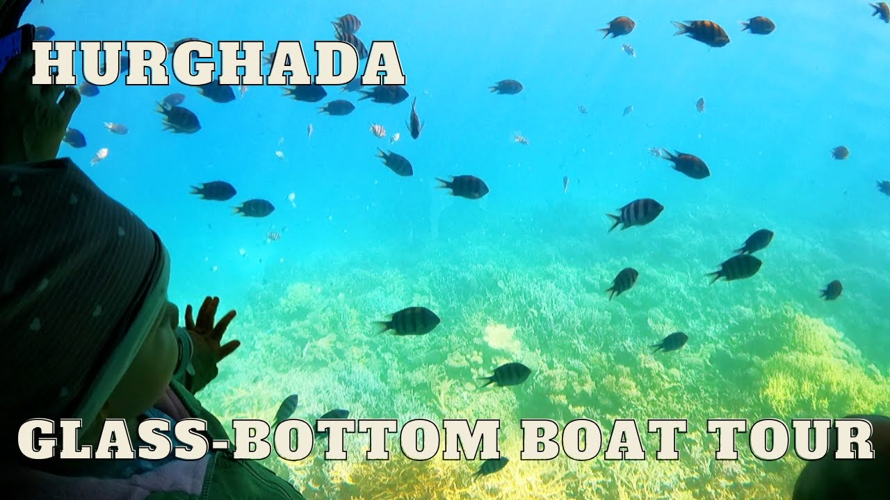 Hurghada - glass-bottom boat tour – family-friendly tour
