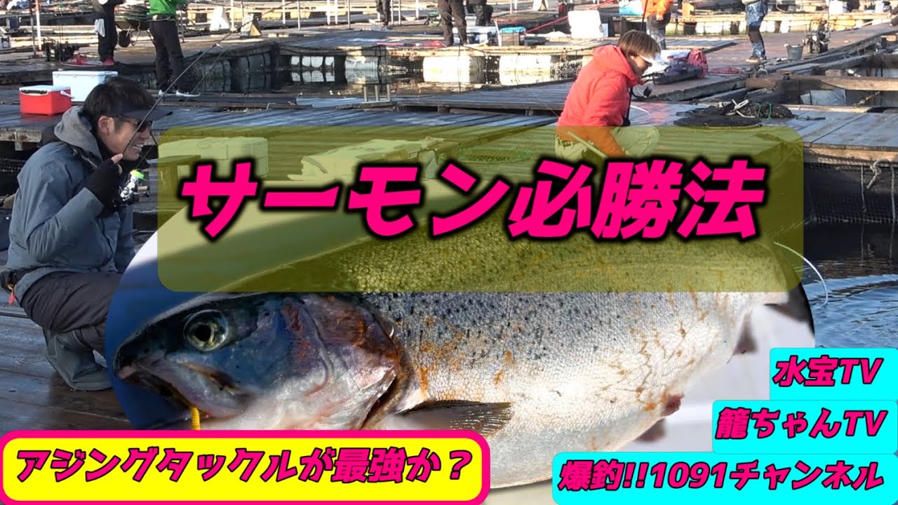 コレ観るだけで誰でも釣れちゃいます【水宝】【サーモンコーナー】【アジング】
