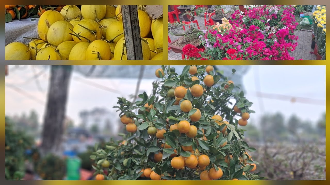 Ngày 28 tết chợ Giồng Riềng đông vui nhộn nhịp quá ông bà cô chú ơi