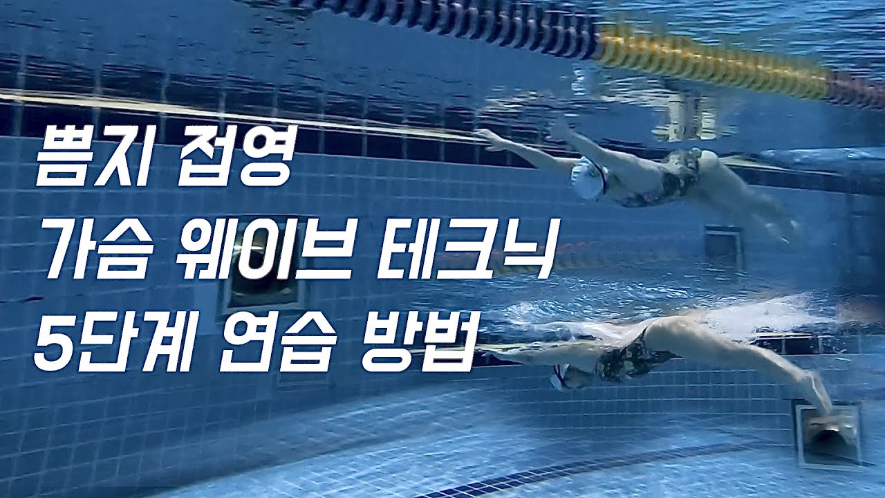 [접영 가슴웨이브] 제대로 하고 계신가요? 위아래로 그냥 누르기 놉! 정확한 포인트를 담은 쁨지표 테크닉 영상 - 5단계 연습 방법