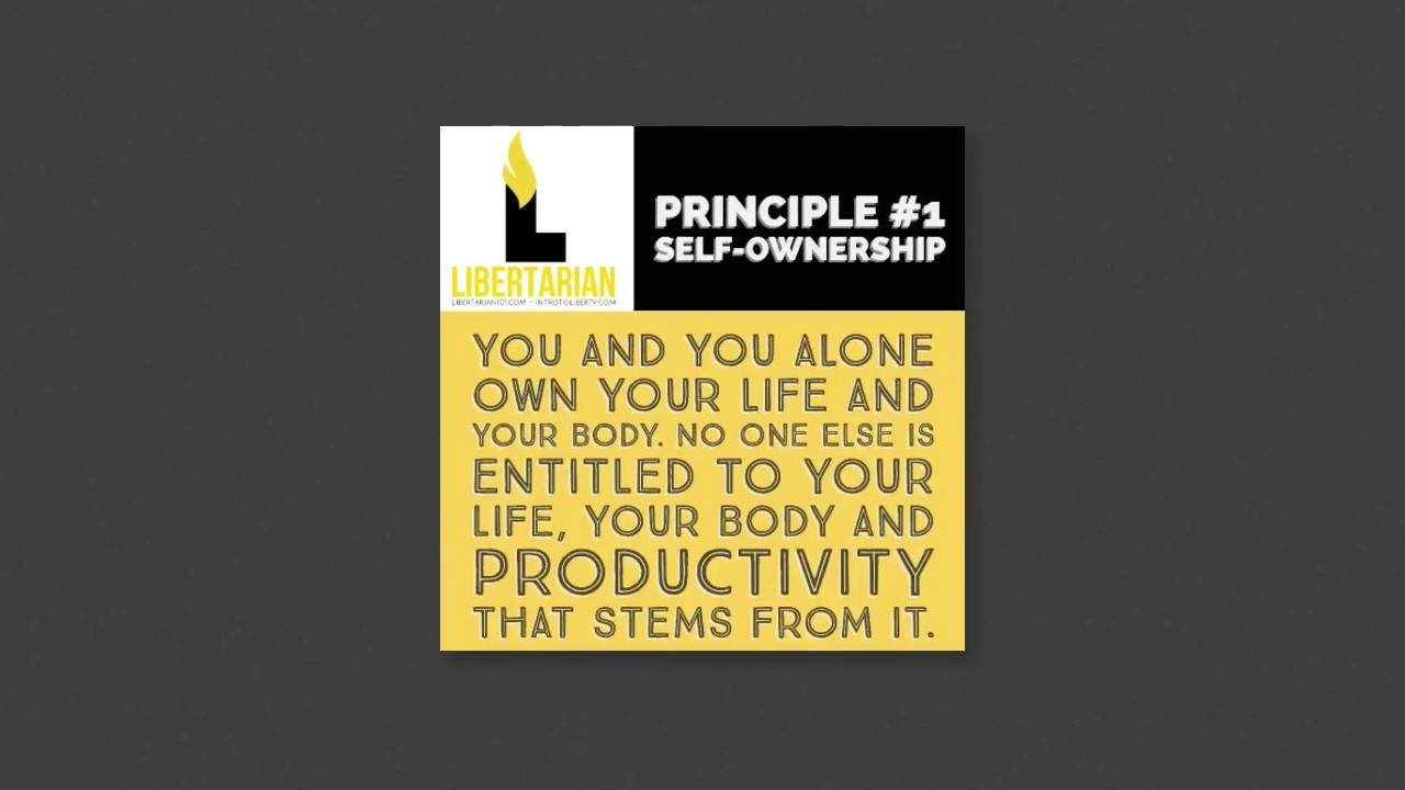 Libertarian Principles - An Introduction (Libertarian101.com)
