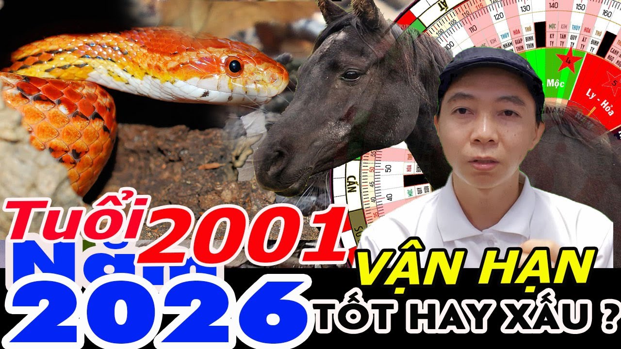 Xem Vận Hạn Tuổi Tân Tỵ 2001 năm 2026 RA SAO ?  Phong Thủy 100 Năm
