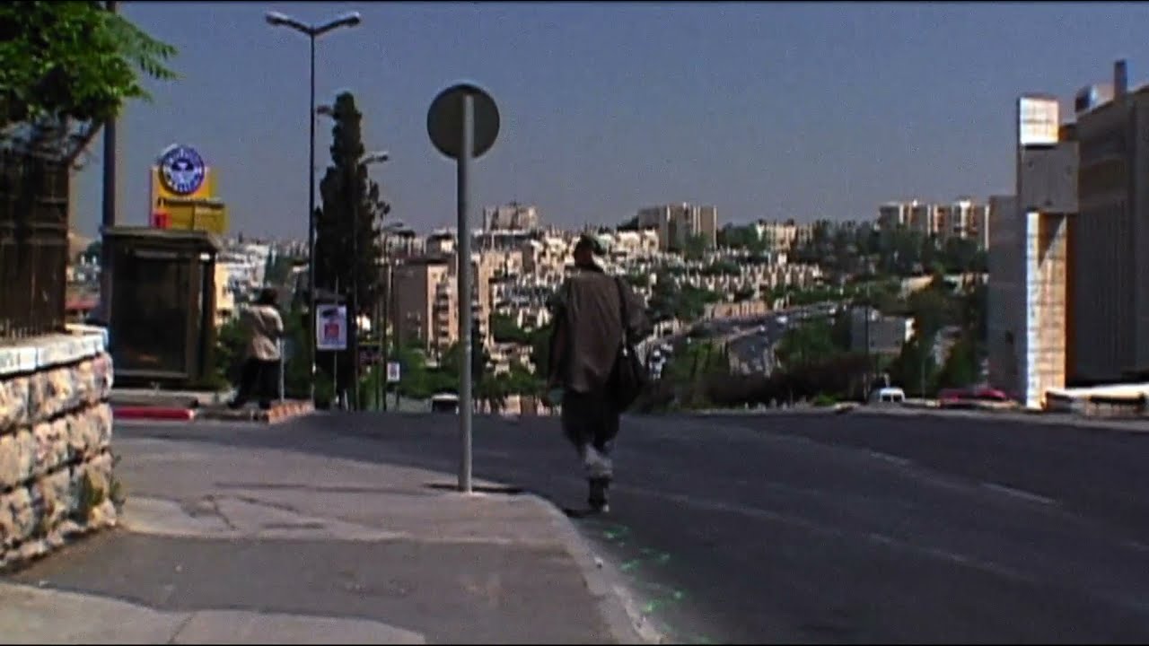 Francis Alÿs The Greenline