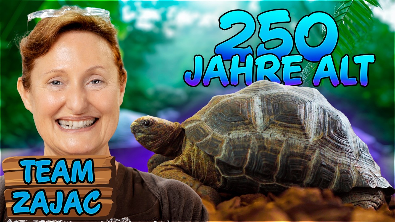 250 JAHRE ALTE SCHILDKRÖTE? | Zoo Zajac