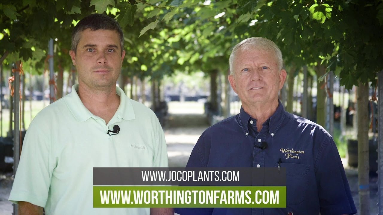 Worthington Farms Virtual Tour