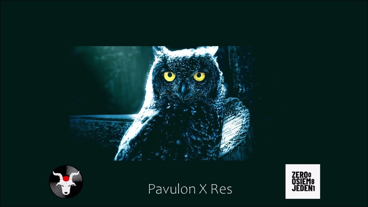 Pavulon x Res - SOWA (prod. CADENCE)