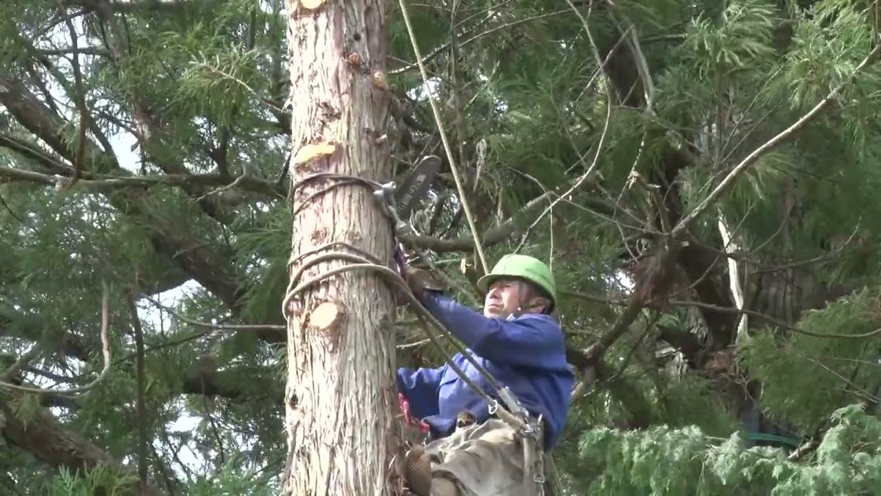 木幡神社　共吊り