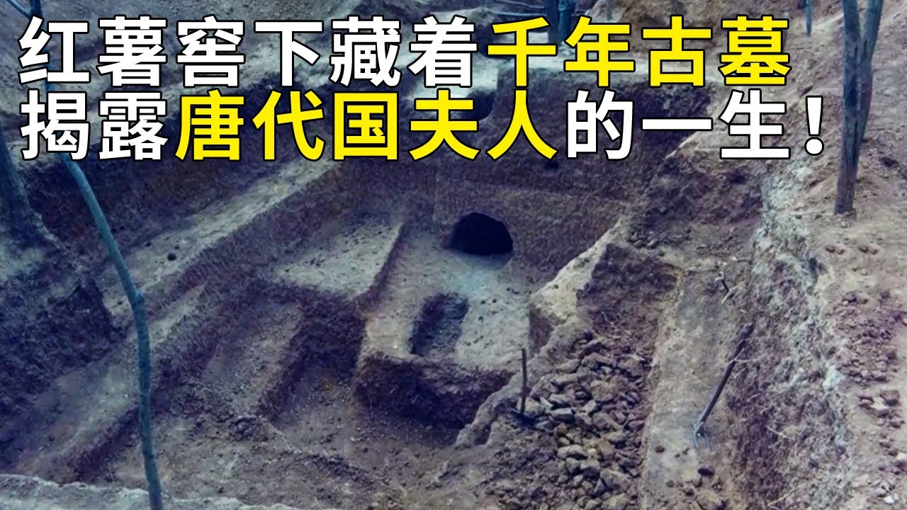 红薯窖下塌出大坑 勘探后发现竟藏着千年古墓 685字墓志 揭露千年前唐代国夫人的一生！——《奥秘2023》（7） 丨 中华国宝