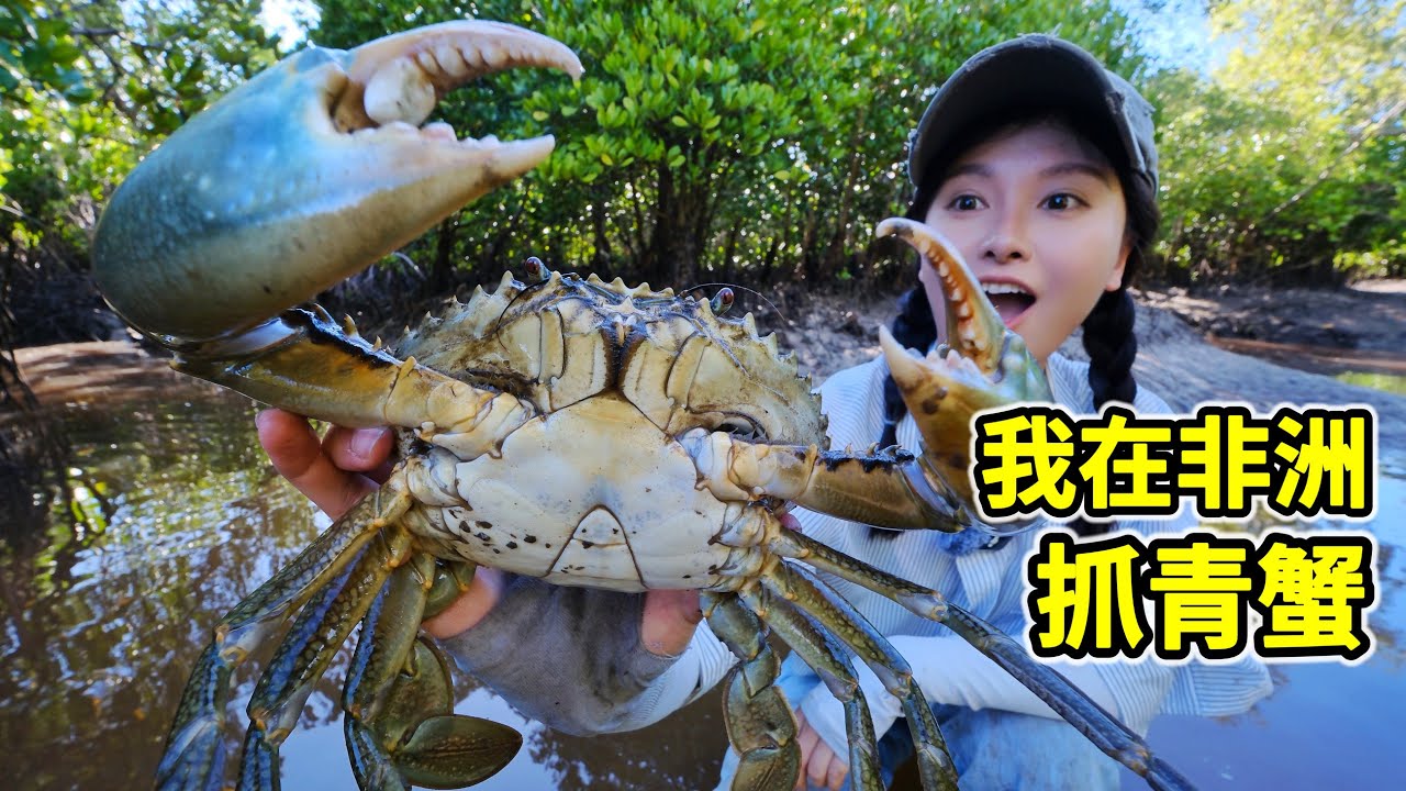 在非洲抓青蟹，挖洞2米掏6斤大螃蟹，一锅水煮滋味鲜！| 赶海 | 螃蟹 | 海鲜 | 红树林 | 非洲 |