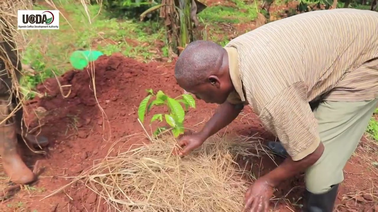 3 OKUBWIKAKO (Lusoga Version)