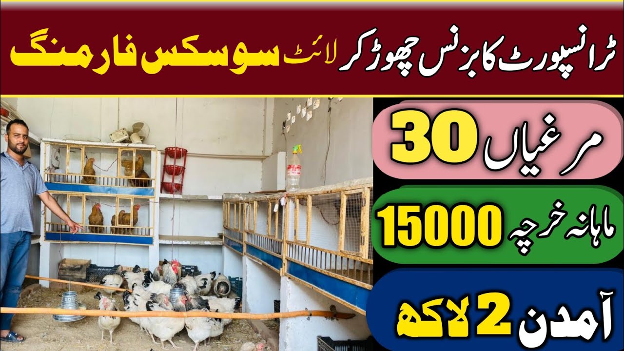Light sussex Hen Farming small setup at home Roof 2021 03049896033