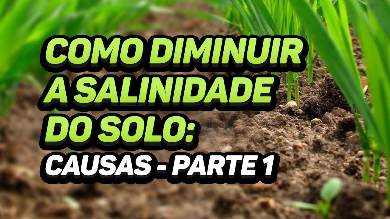Como Diminuir a Salinidade do Solo: Causas - Parte 1