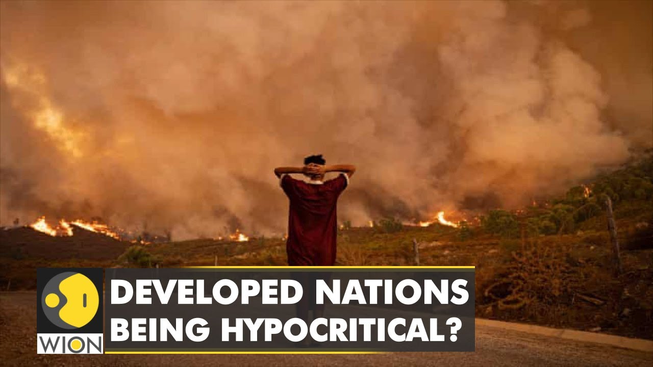 Vulnerable nations alone in coping with climate crisis? | WION Climate Tracker