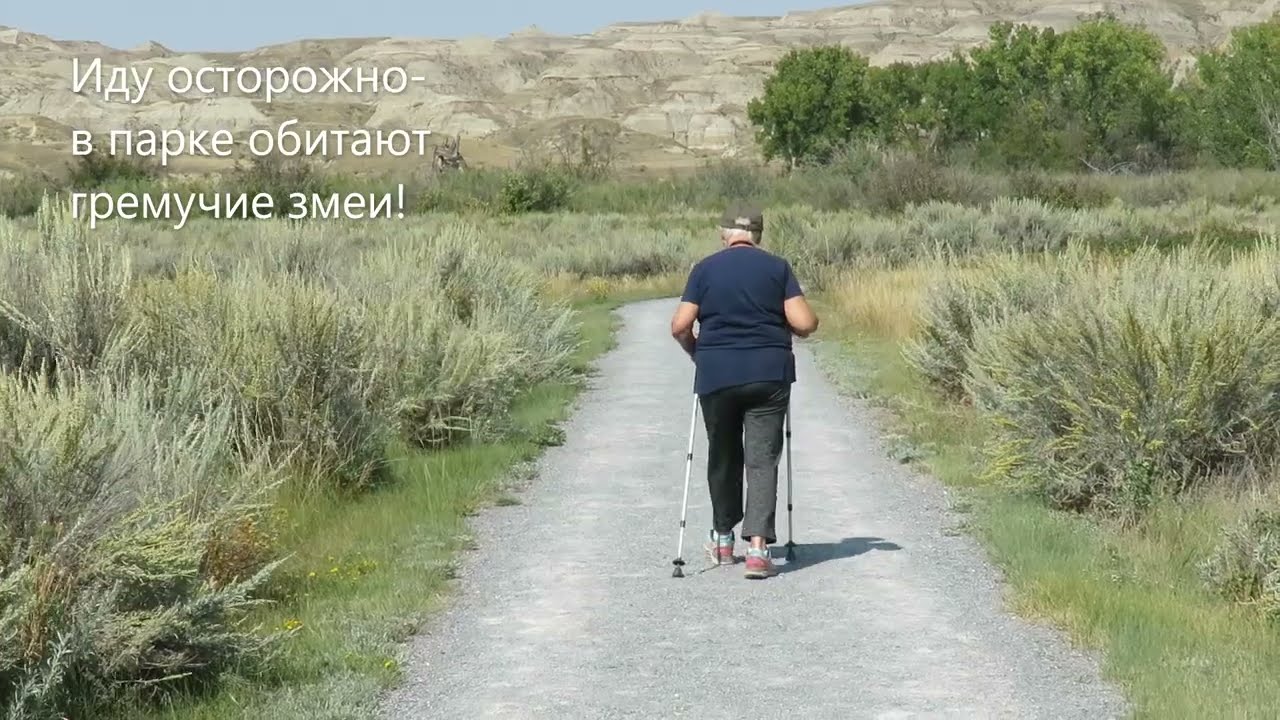 Путешествие по Канаде: Провинциальный парк Динозавров-Альбертa/Canada trip: Dinosaur Provincial Park