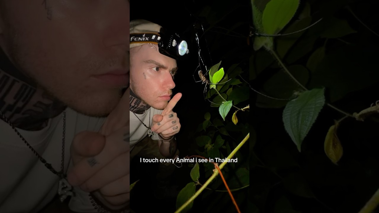 I touched every Animal in Thailand