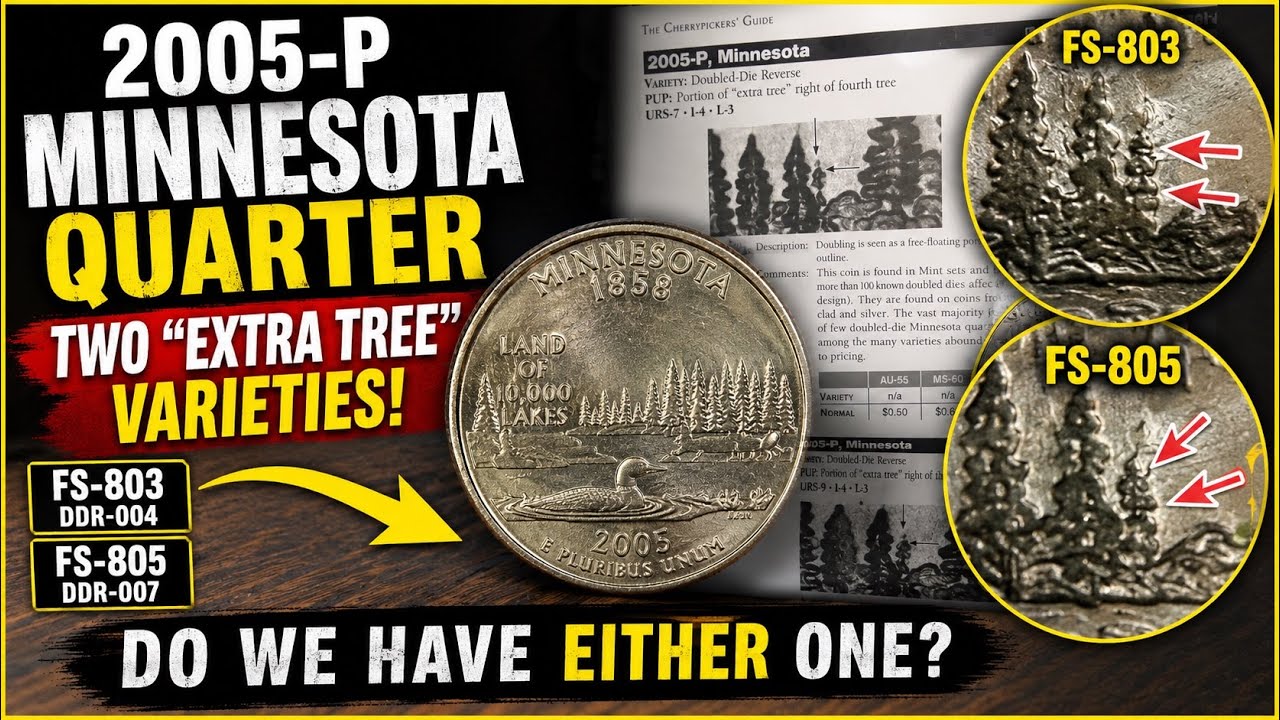 2005-P Minnesota Quarter: TWO &ldquo;Extra Tree&rdquo; Varieties to Find! 🌲🪙