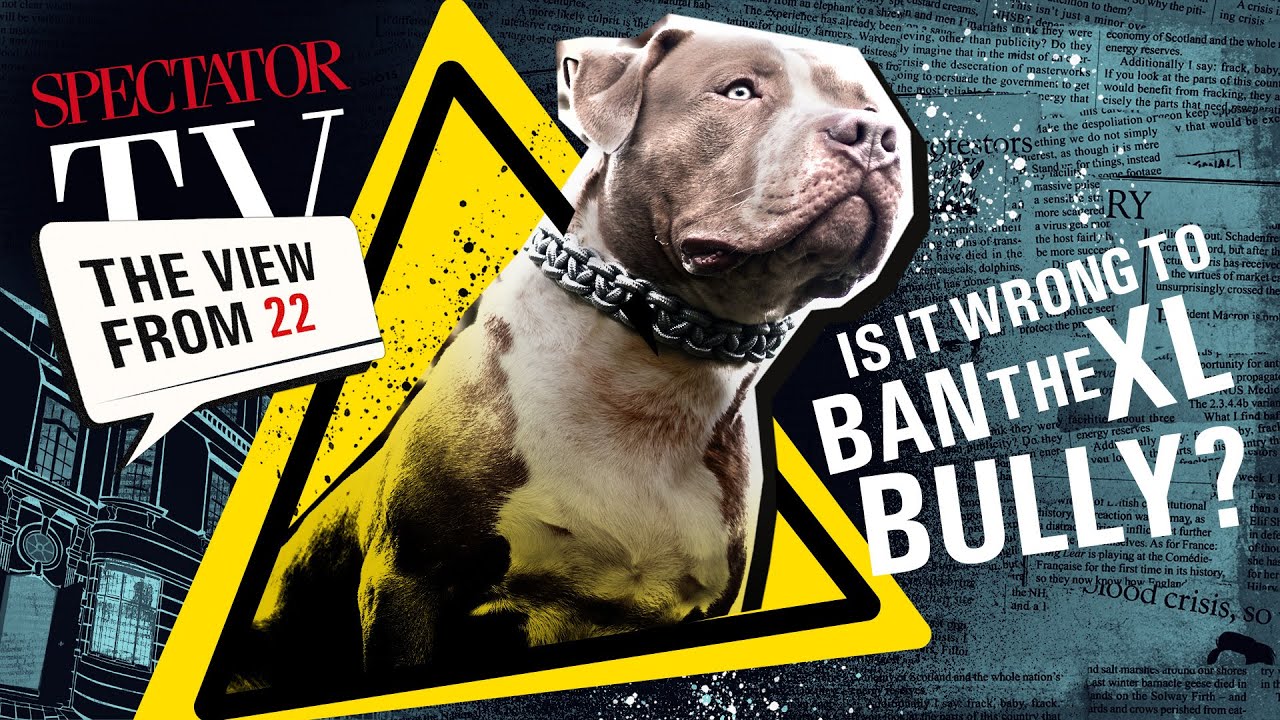Bully ban: is it fair to outlaw the XL Bully? With Lawrence Newport | SpectatorTV
