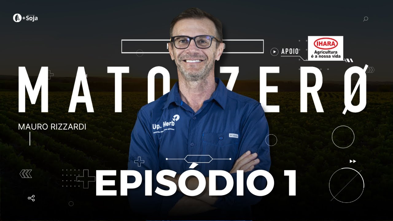 Capim Amargoso: controle, manejo e resultados