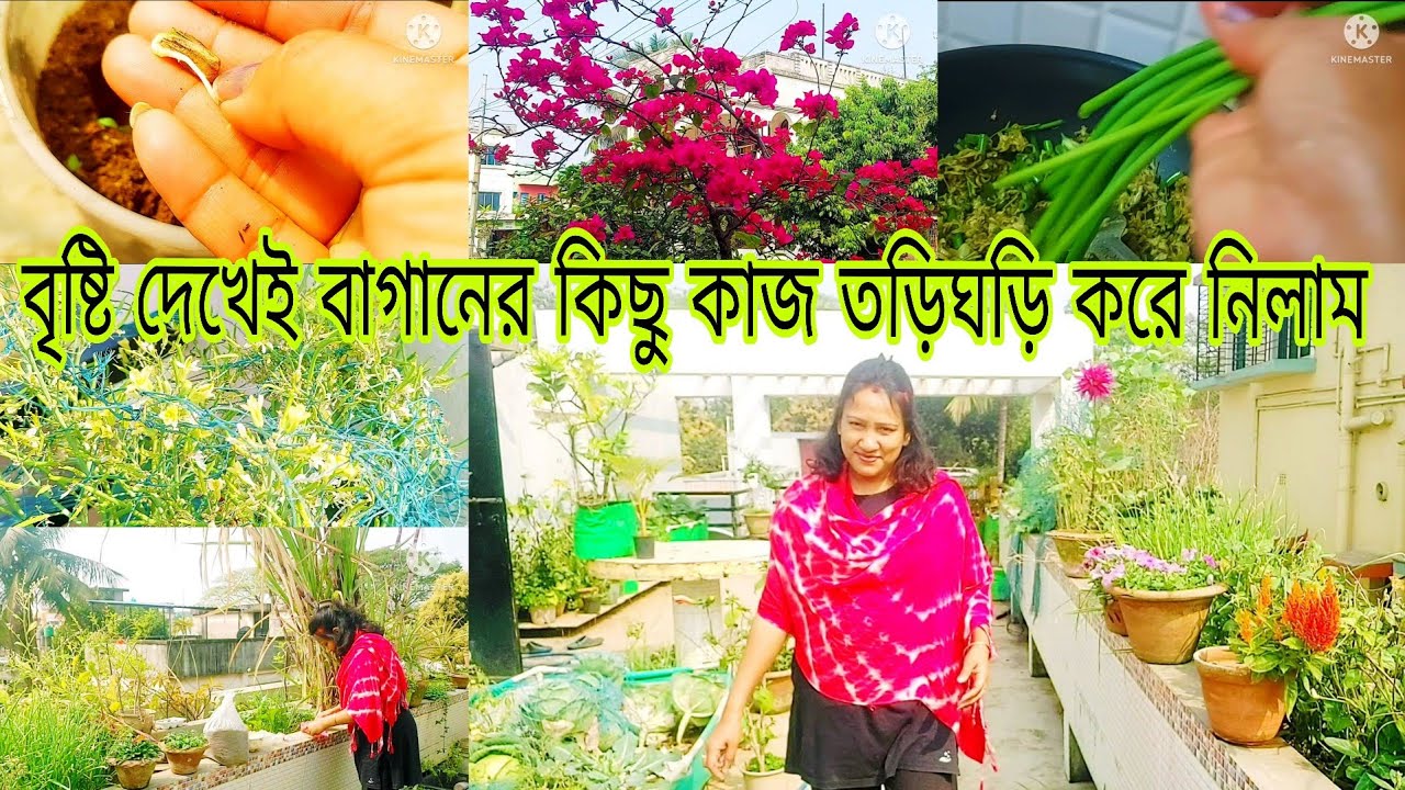Brist dekhei garomer baganer kichu kaj kore nilam.#roofgarden #gardening 