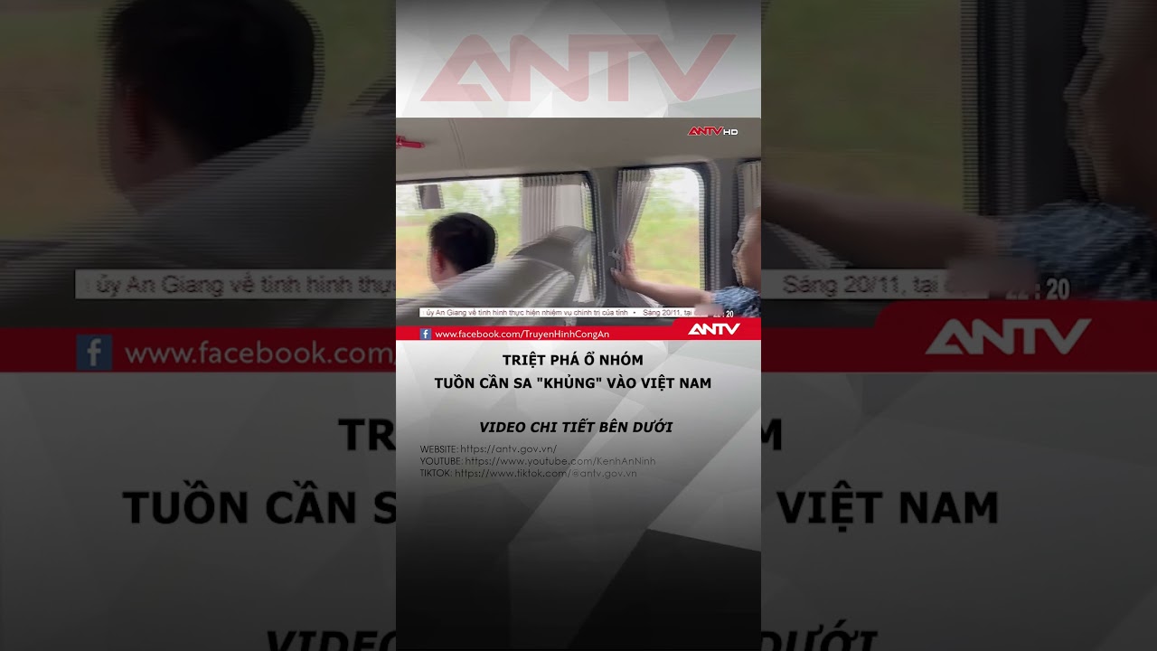 Triệt ph&aacute; nh&oacute;m b&aacute;n cần sa qua mạng lớn nhất từ trước đến nay #antv #shorts #cansa