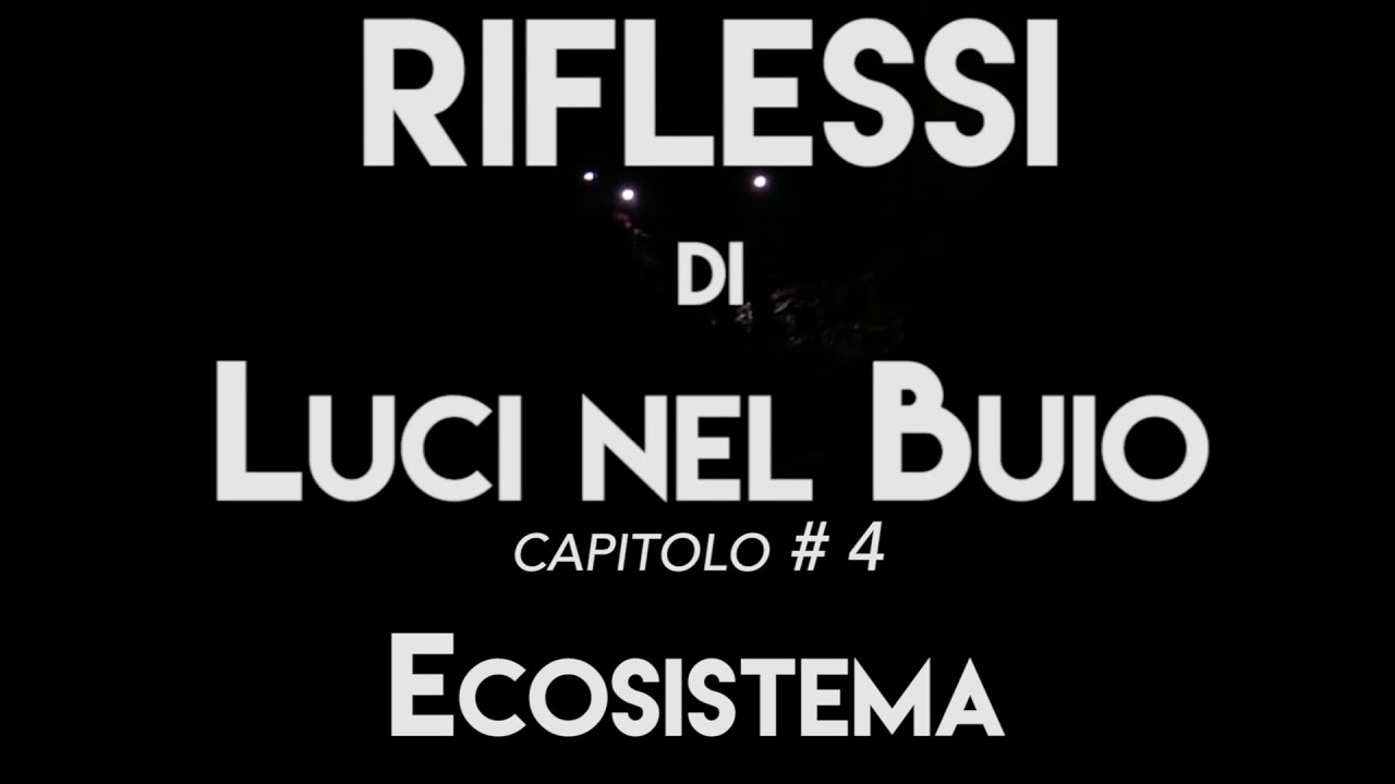 Riflessi di Luci nel Buio -  Storia ed esplorazioni della grotta Remeron - #4 Ecosistema