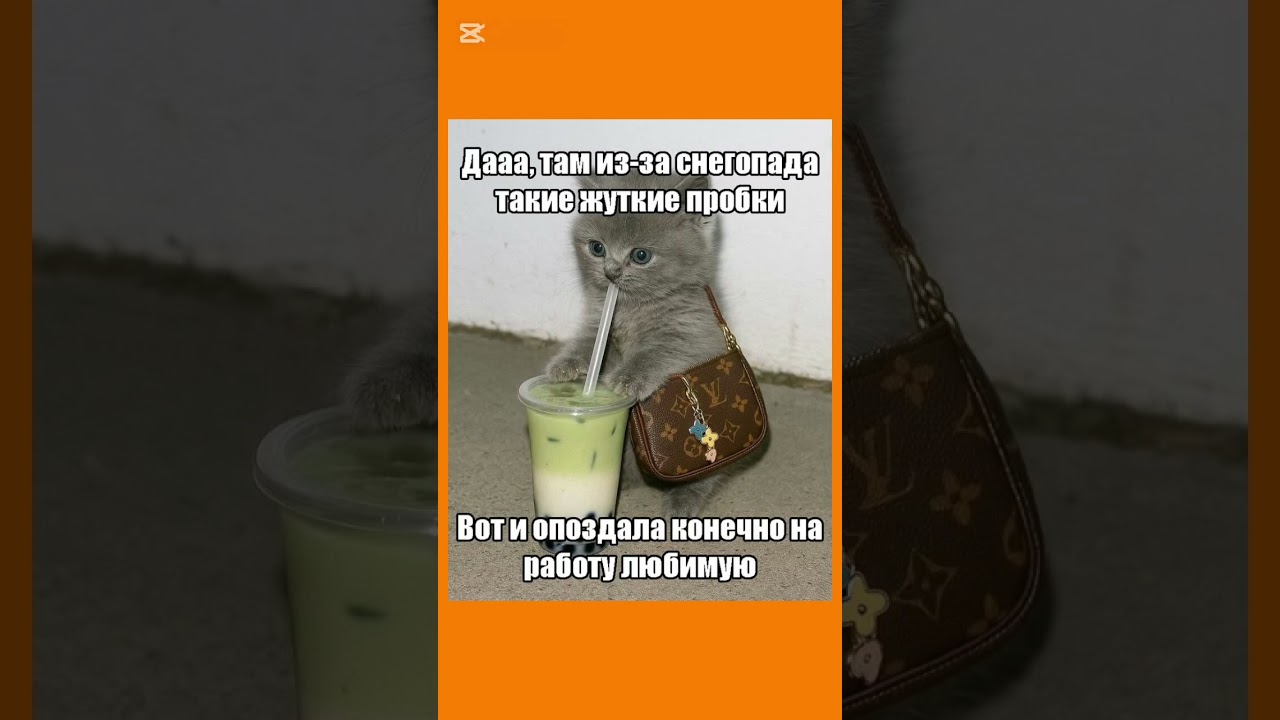 #шуткидня #юмор #мем #жизненно #смехпродлеваетжизнь #memes #viral #прикол #humor #cat #кот