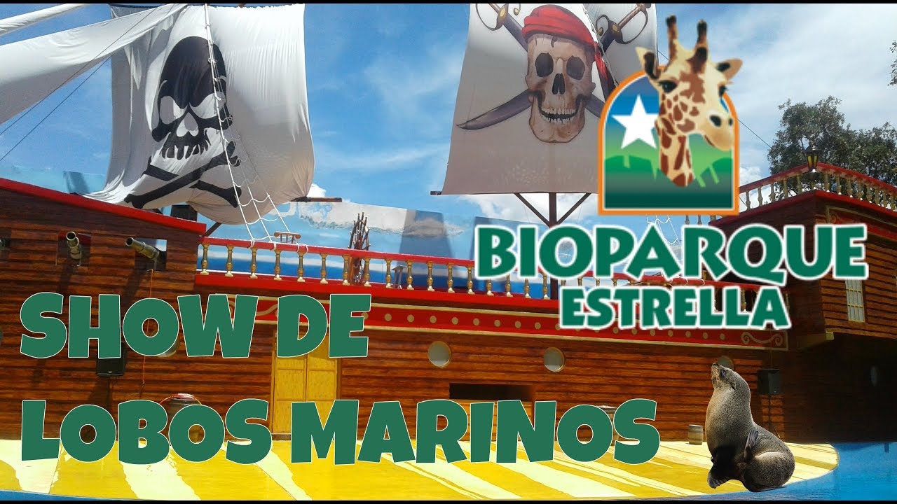 SHOW DE LOBOS MARINOS -  BIOPARQUE ESTRELLA