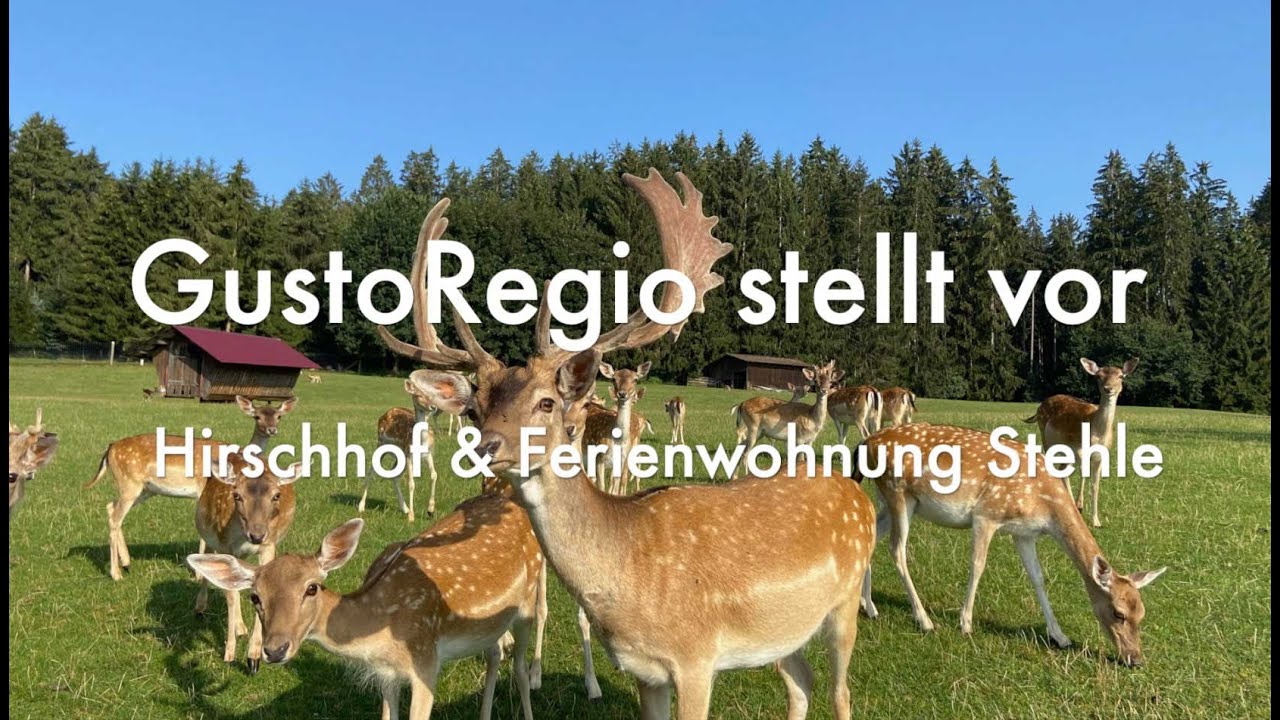 Direktvermarktung Hirschhof Stehle: Damwildfleisch & Ferienwohnung