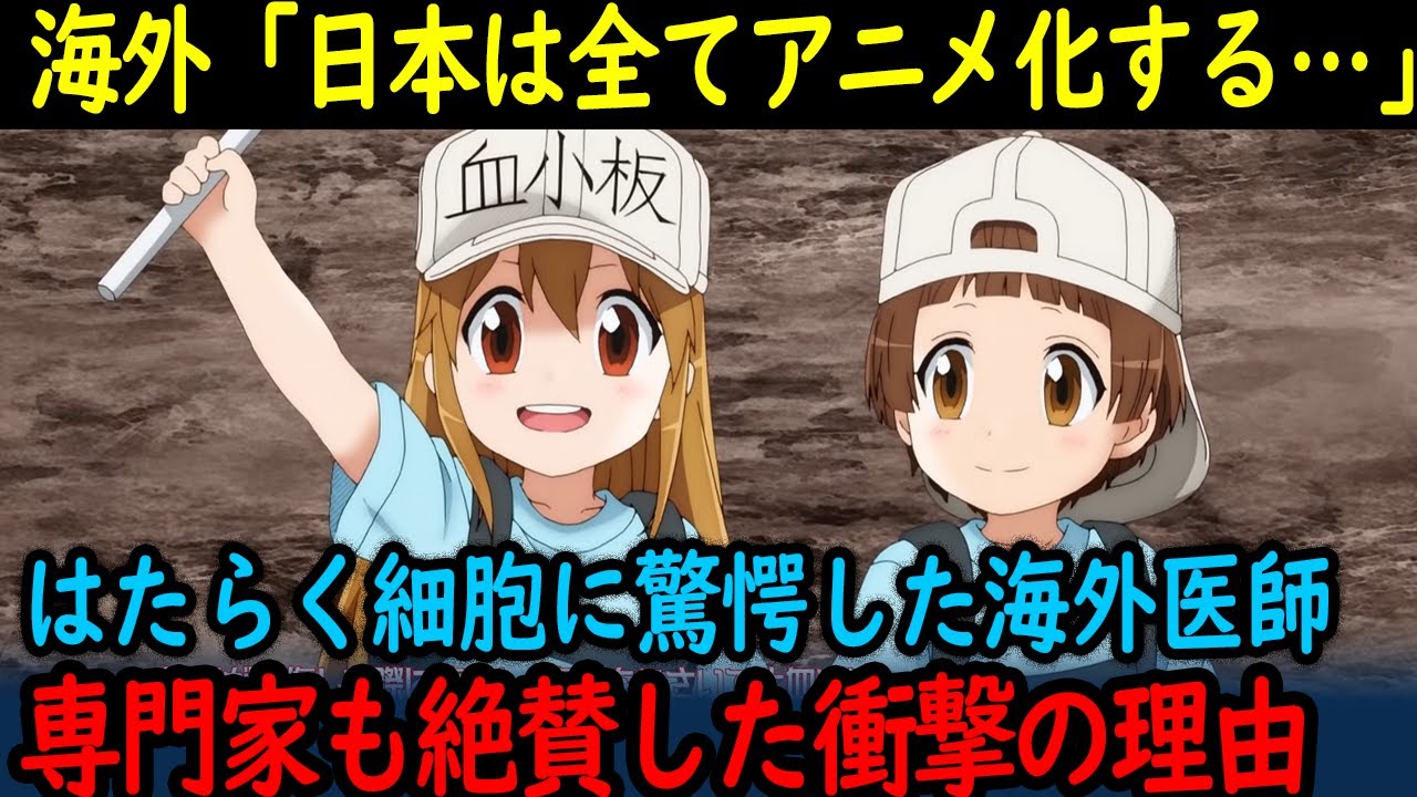 【海外の反応】米医師が大絶賛！日本アニメ「はたらく細胞」の称賛理由と誕生秘話