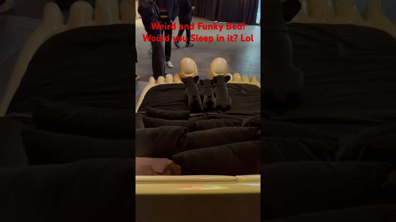 New York - Big Feet And Big Toes Bed, would you sleep in this bed? Lol! 