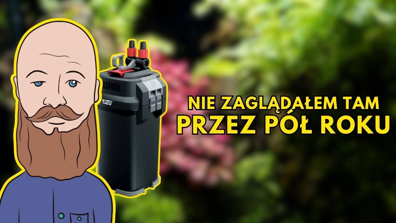 Czyścimy filtr w akwarium.