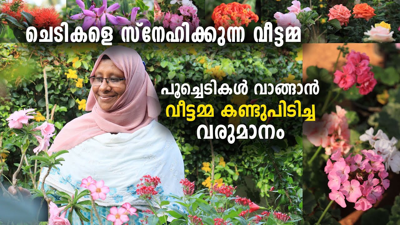 ചെടികളെ സ്നേഹിക്കുന്ന വീട്ടമ്മ | പൂച്ചെടികൾ വാങ്ങാൻ വീട്ടമ്മ കണ്ടുപിടിച്ച വരുമാനം | Home Garden